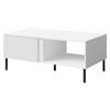 COUCHTISCH Mia 08 - Schwarz/Weiß, Holzwerkstoff/Metall (60/110/45cm) - MIRJAN24