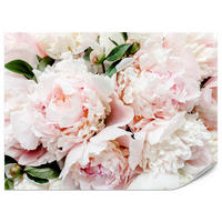 FOTOTAPETE für Schlafzimmer Rosa Zarte Pfingstrosen Natur 250x175 - Rosa/Weiß, Papier (250/175cm) - Muralo