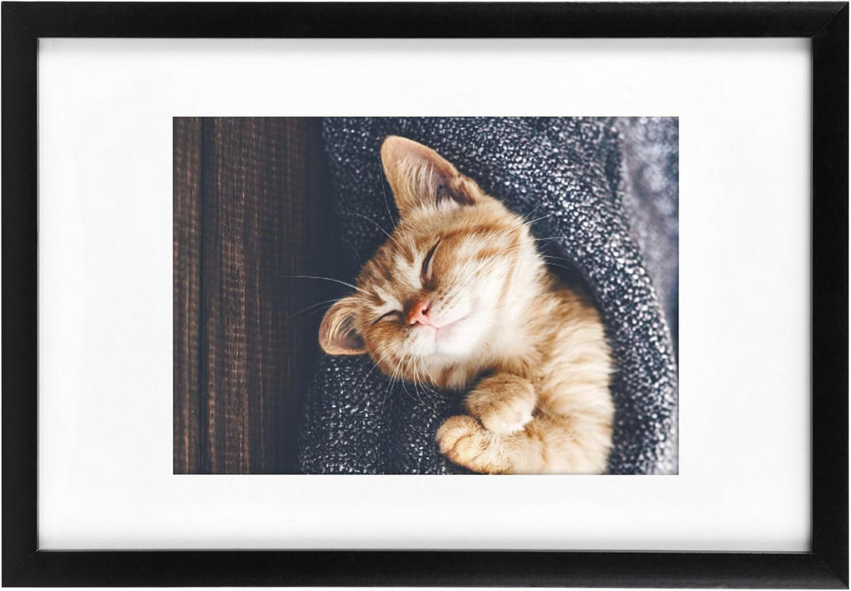 BILDERRAHMEN Galeria 13x18cm Schwarz - Schwarz, Holzwerkstoff (25/2/37cm) - BoMoe