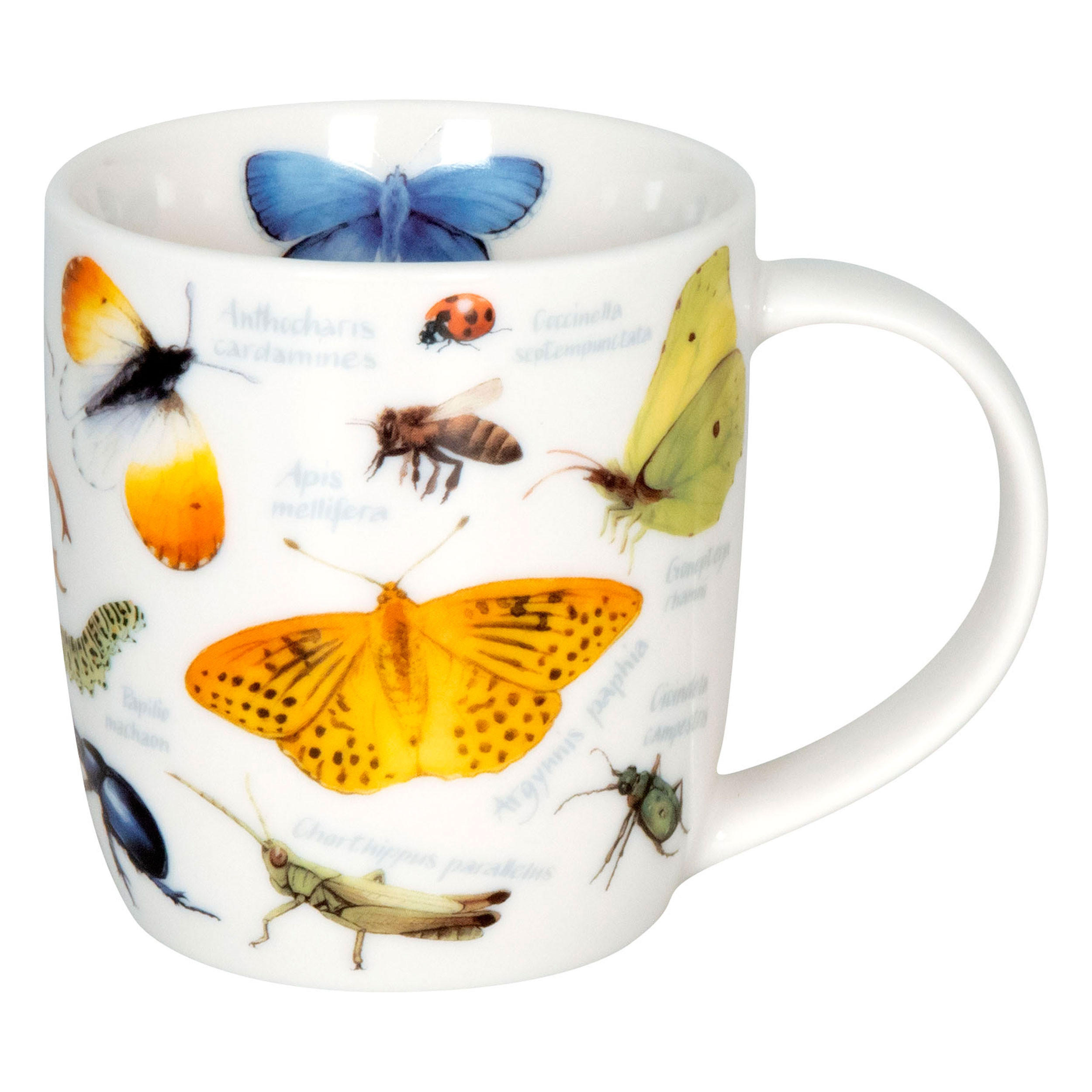 Könitz Kaffeebecher Natur