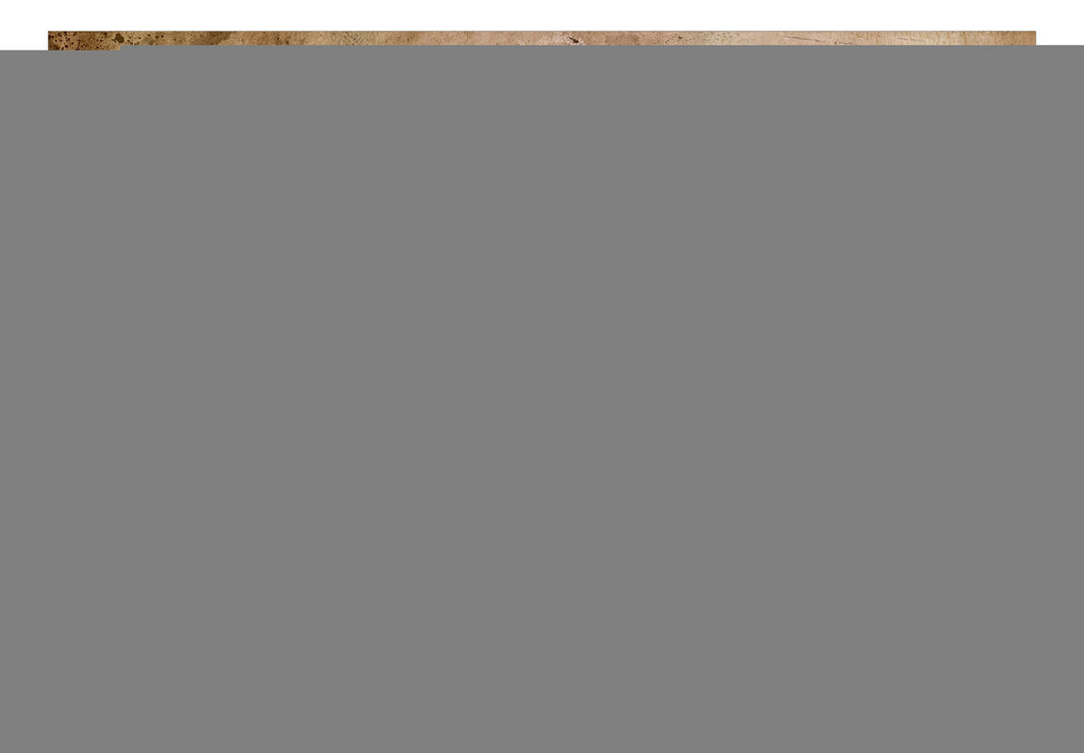VLIESTAPETE Braun 450/315 cm - Braun, Textil (450/1cm) - KUNSTLOFT