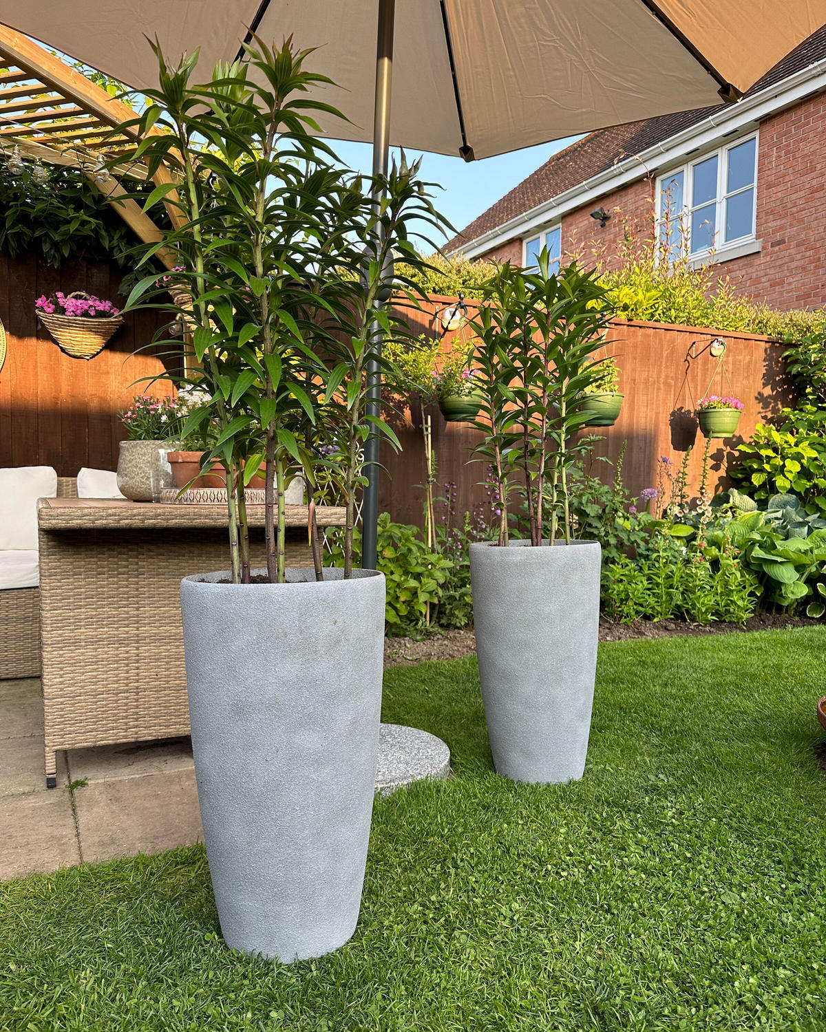 BLUMENTOPF hellgrau rund 31/31/58 cm Abdera - Hellgrau, Stein (58cm) - Beliani