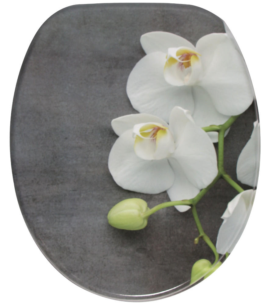 WC-SITZ mit Absenkautomatik Pretty - Grau, Holzwerkstoff (38/6/47cm) - Sanilo