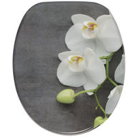 WC-SITZ mit Absenkautomatik Pretty - Grau, Holzwerkstoff (38/6/47cm) - Sanilo