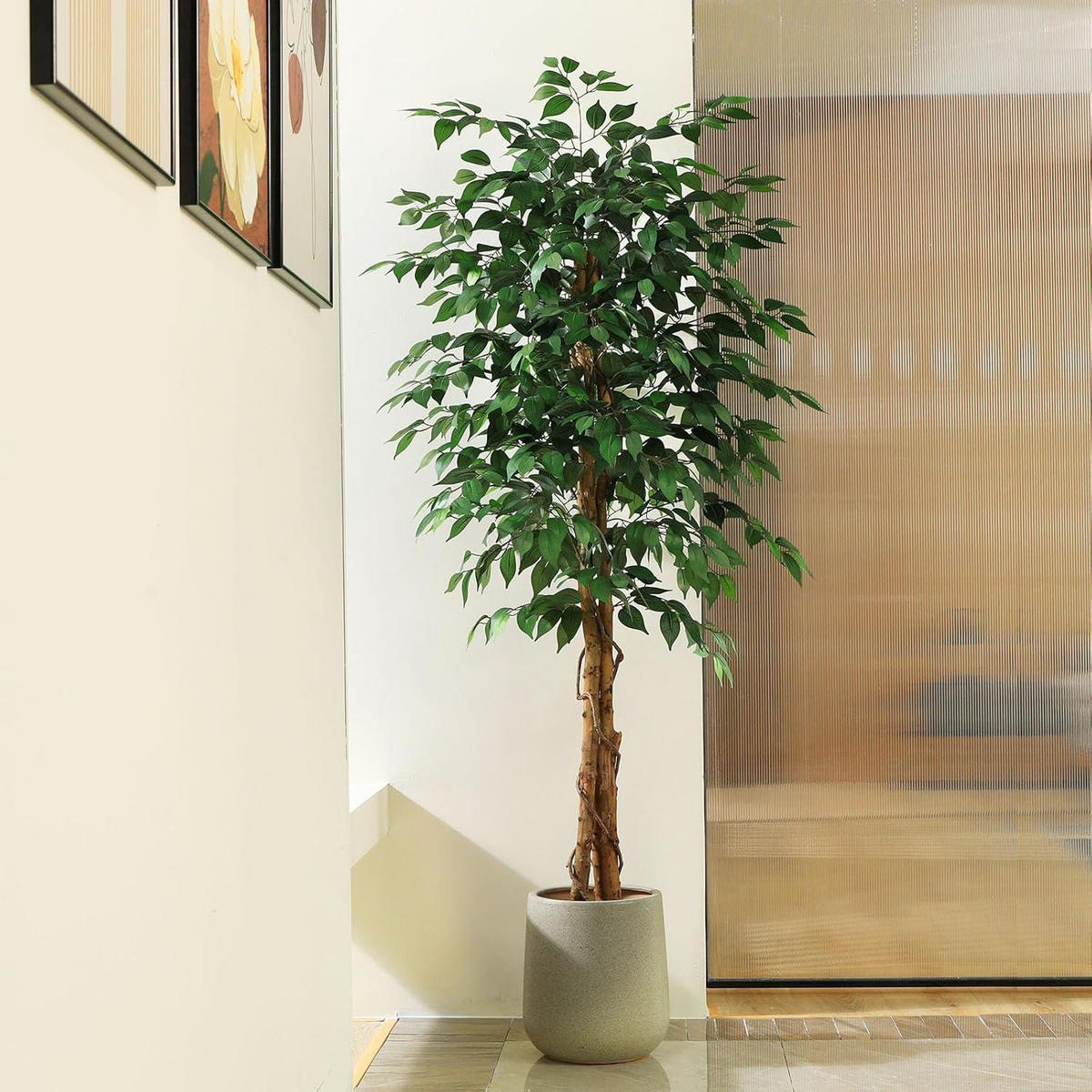 KUNSTPFLANZE Ficusbaum 180 cm mit Naturholzstamm - Grün, Holz (135cm)