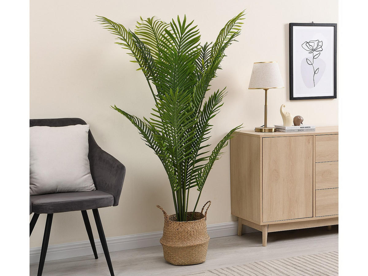 KUNSTPFLANZE - 80 cm x 80 cm - plastik - grün Palmita - Grün, Kunststoff (160cm) - Vente-Unique