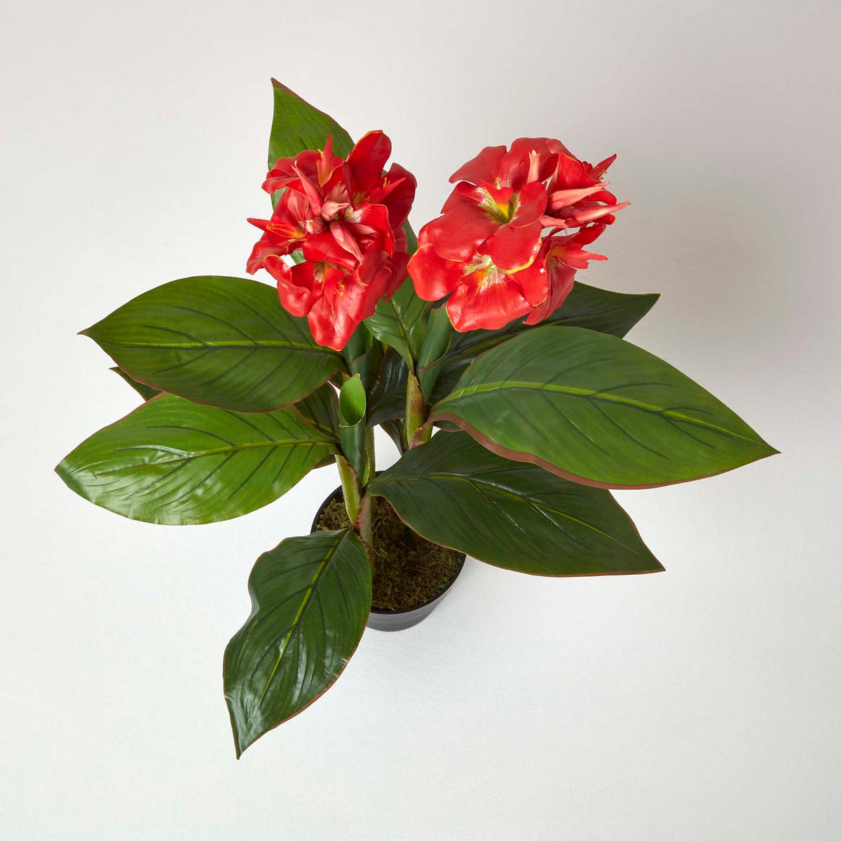 KUNSTBLUME Blumenrohr rot, 90 cm - Rot, Kunststoff (90cm) - Homescapes