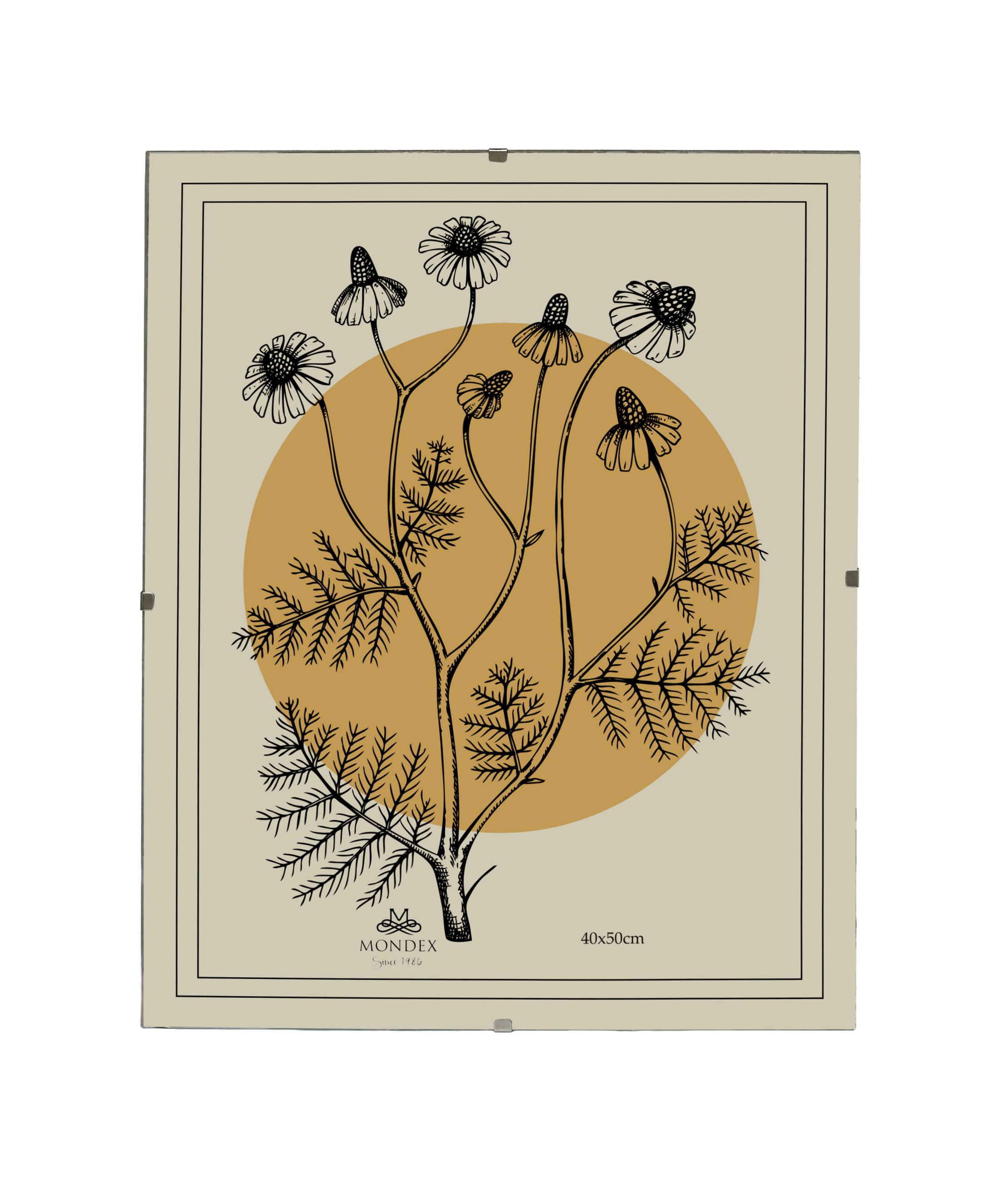BILDERRAHMEN Adi Transparent 40x50x0.3 cm Kunststoff - Transparent, Kunststoff (0.3/50/40cm) - Mondex