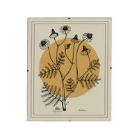BILDERRAHMEN Adi Transparent 40x50x0.3 cm Kunststoff - Transparent, Kunststoff (0.3/50/40cm) - Mondex
