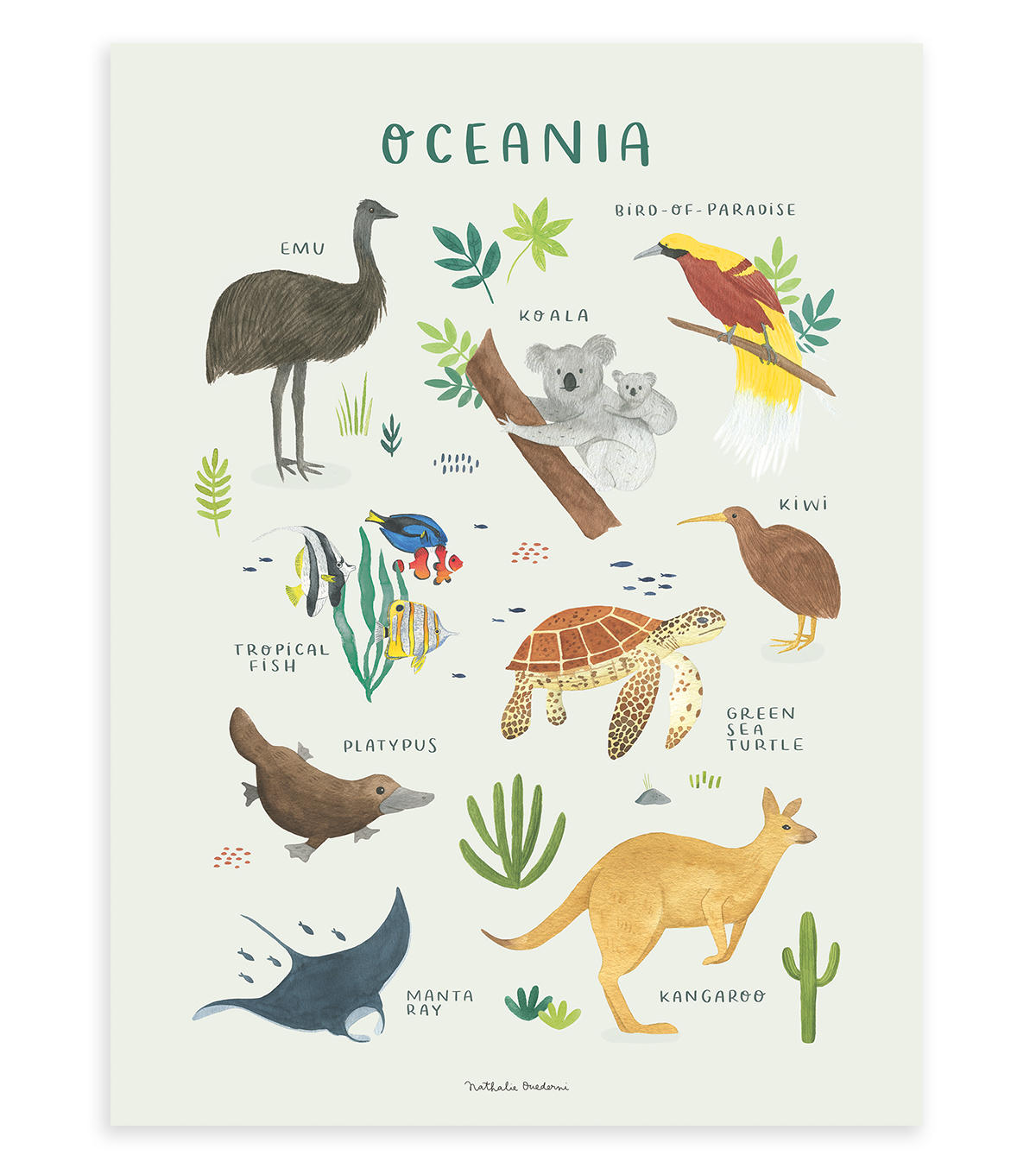 POSTER Ozean, 30x40 cm - Multicolor/Grün, Papier (30/1/40cm) - Lilipinso