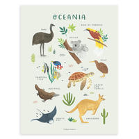 POSTER Ozean, 30x40 cm - Multicolor/Grün, Papier (30/1/40cm) - Lilipinso