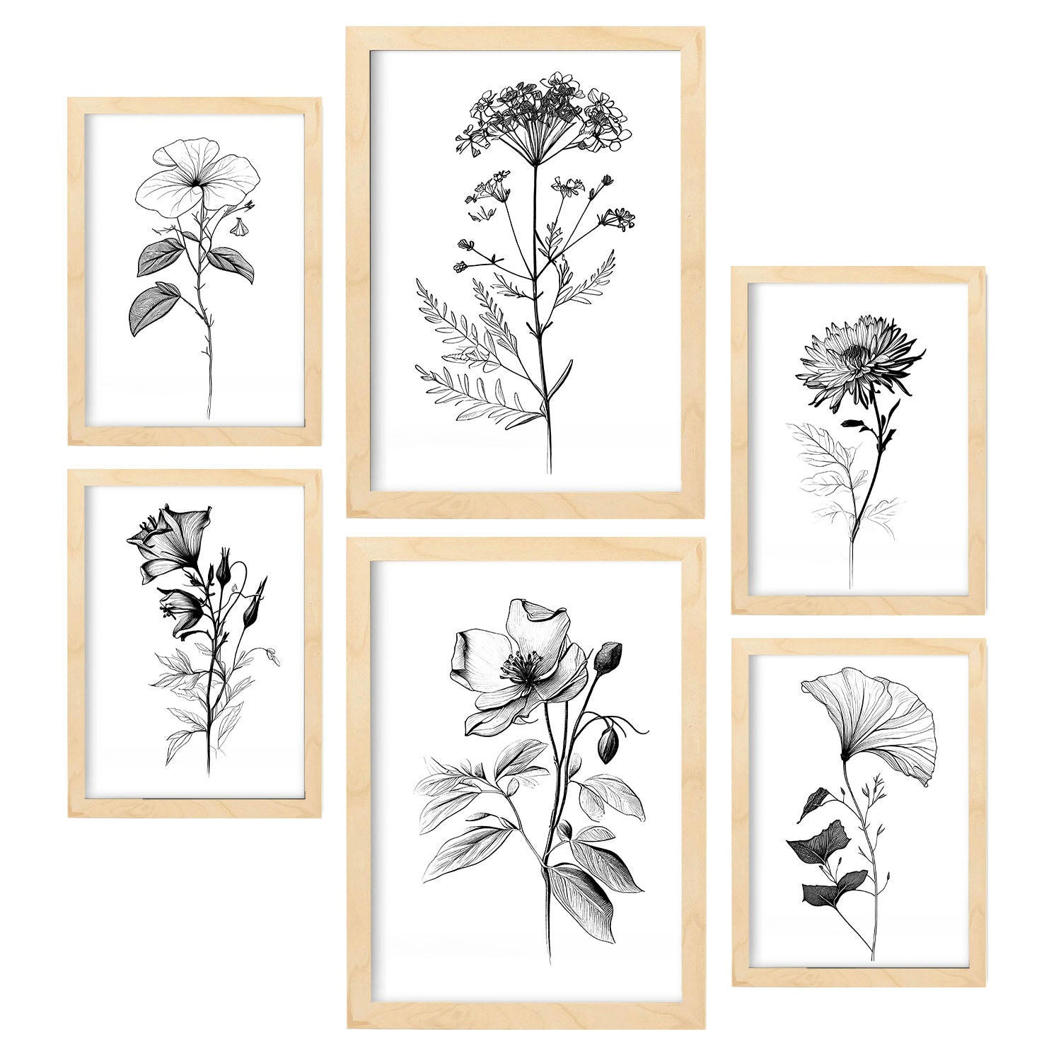 POSTER Set Mit 6 Blühende Blumen Natur Und Botanikdrucke Mit Blumenmotiven In Klassischem Schwarz Und Weiß A3 & A4 Rahmen Aus Hellem Holz - Beige, Papier (29/3cm) - Nacnic