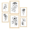 POSTER Set Mit 6 Blühende Blumen Natur Und Botanikdrucke Mit Blumenmotiven In Klassischem Schwarz Und Weiß A3 & A4 Rahmen Aus Hellem Holz - Beige, Papier (29/3cm) - Nacnic