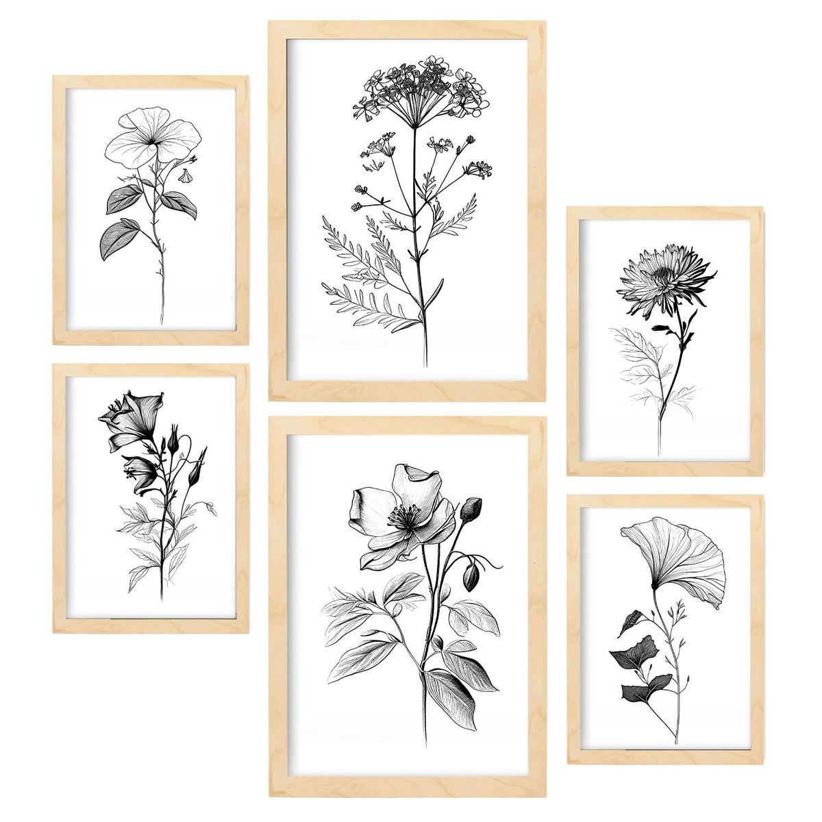 POSTER Set Mit 6 Blühende Blumen Natur Und Botanikdrucke Mit Blumenmotiven In Klassischem Schwarz Und Weiß A3 & A4 Rahmen Aus Hellem Holz - Beige, Papier (29/3cm) - Nacnic