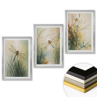 WANDBILDER 3er Set - 40x60 cm Silberner Rahmen - Libellengräser über dem Wasser - Silberfarben, Kunststoff (40/60cm) - ArtPrintCave