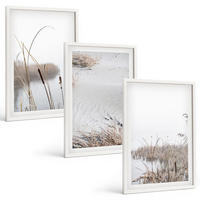BILDER SET 3er Set - 40x60 cm Weißer Rahmen - Wasserpflanzen im Sommer - Weiß, Kunststoff (40/60cm) - TULUP