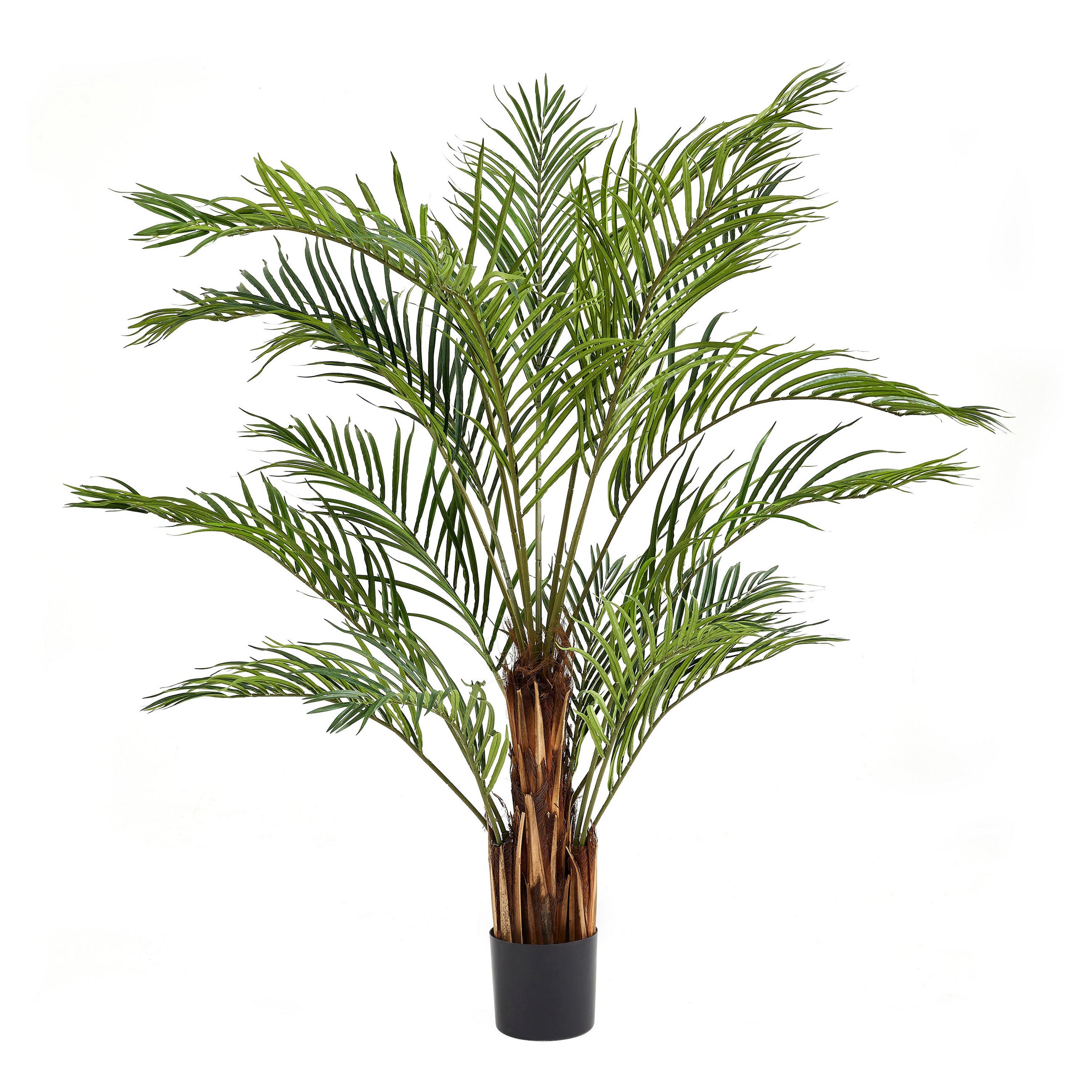 KUNSTBAUM Künstliche Kentia-Palme – Caliora 180 cm - Grün, Kunststoff (180cm) - aplanta