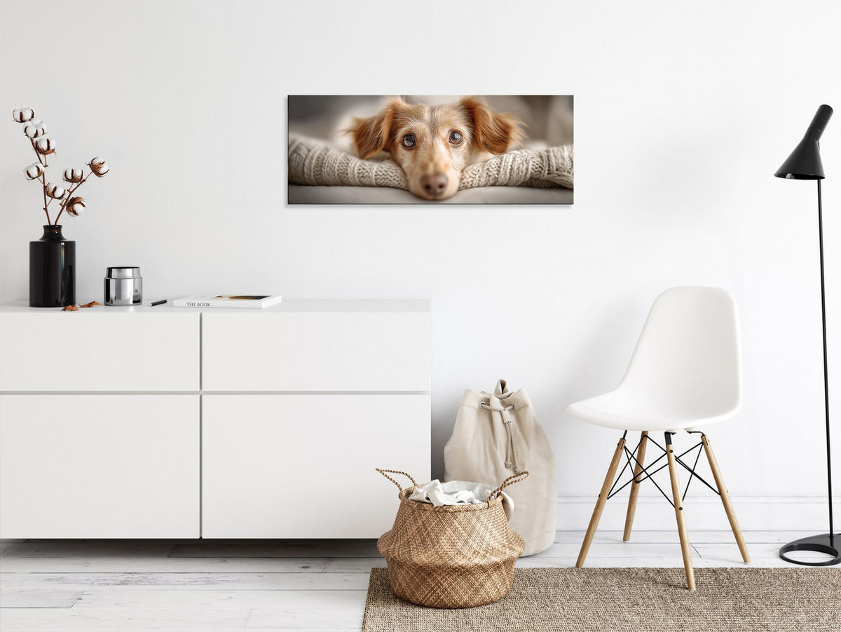 GLASBILD 80x30 cm Hund - Beige, Glas (80/30cm) - artissimo