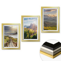 WANDBILDER 3er Set - 20x30 cm Goldrahmen - Berglandschaft mit Blumen - Goldfarben, Kunststoff (20/30cm) - ArtPrintCave