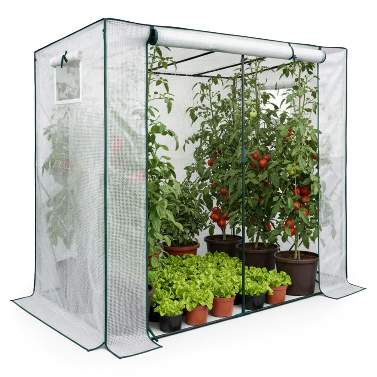 GEWÄCHSHAUS in Hausform, Weiß, 202x80x170 cm - Weiß, Metall (202/170/80cm) - Akord