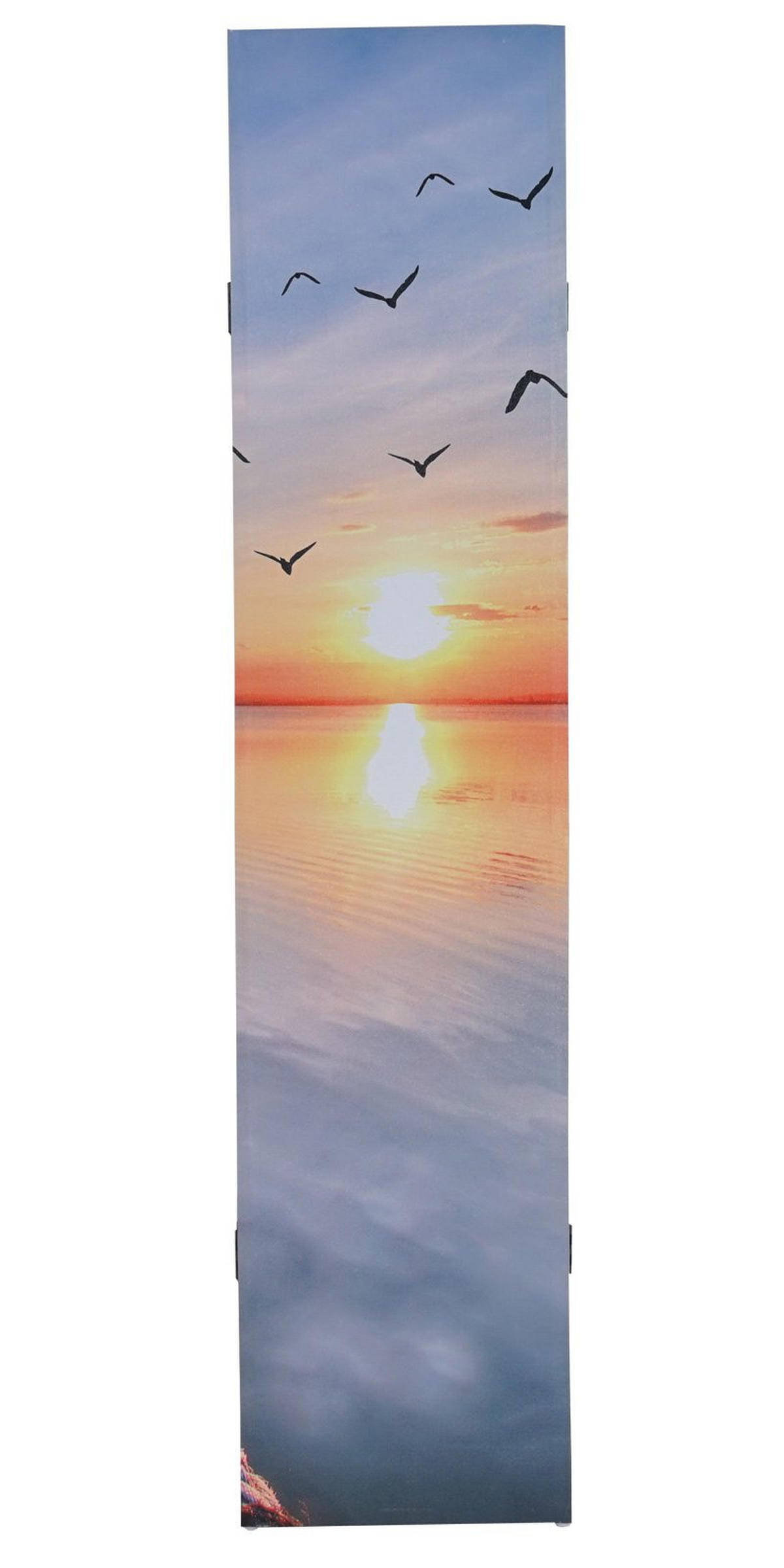 FOTO-PARAVENT Blau, Weiß - Blau/Weiß, Holz (160/180/2cm) - MCW