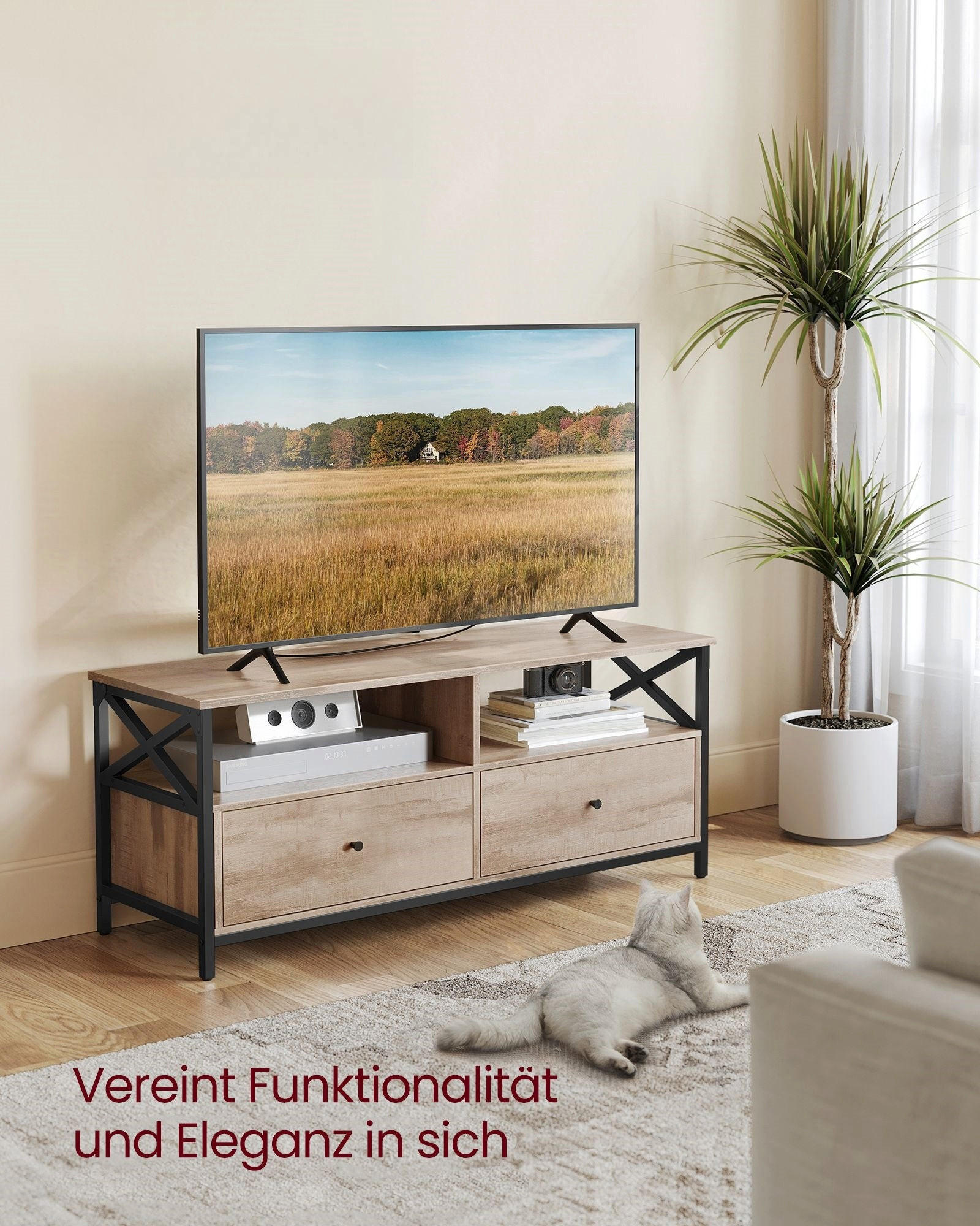 TV-SCHRANK OUAGADOUGOU - Braun, Holzwerkstoff (120/50/40cm) - Hansiro