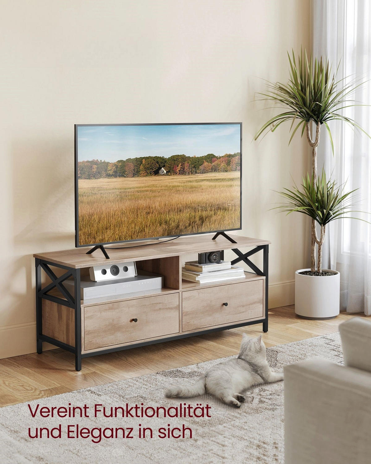 TV-SCHRANK OUAGADOUGOU - Braun, Holzwerkstoff (120/50/40cm) - Hansiro