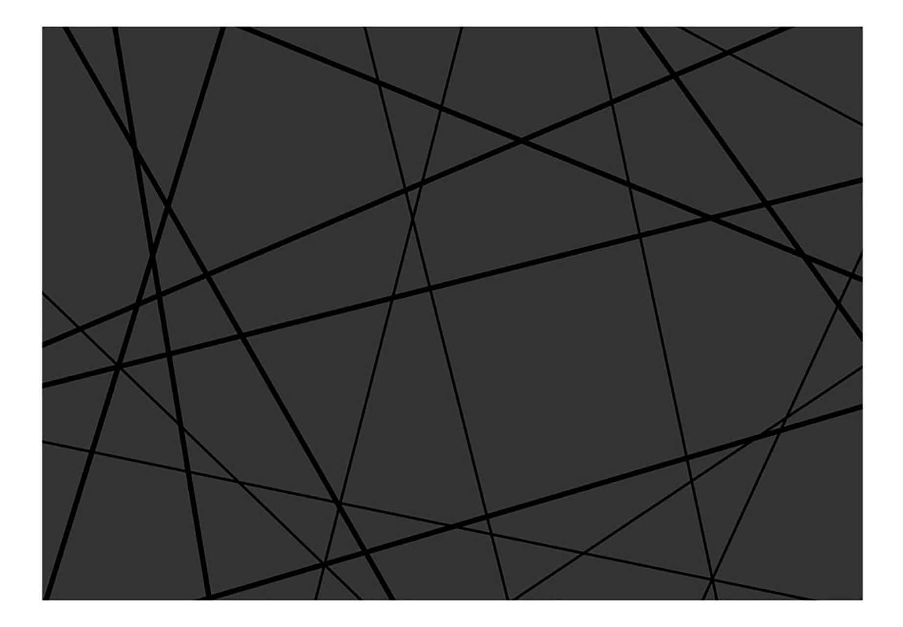 VLIESTAPETE 350/245 cm - Schwarz, Textil (350/1cm) - KUNSTLOFT