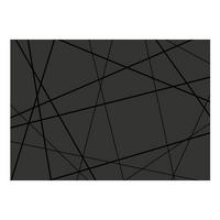 VLIESTAPETE 350/245 cm - Schwarz, Textil (350/1cm) - KUNSTLOFT