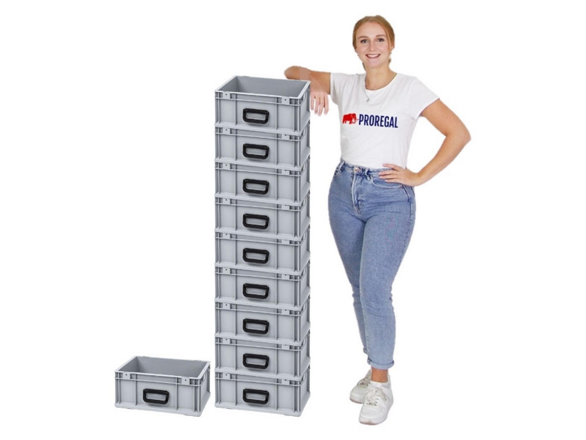 EUROBOX Nextgen Portable Uno 17x30x40cm 16 Liter - Grau, Kunststoff (30/17/40cm) - PROREGAL