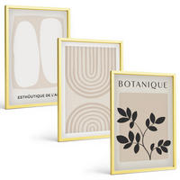 BILDER SET 3er Set - 40x60 cm Goldrahmen - Boho-Pflanzenposter - Goldfarben, Kunststoff (40/60cm) - TULUP