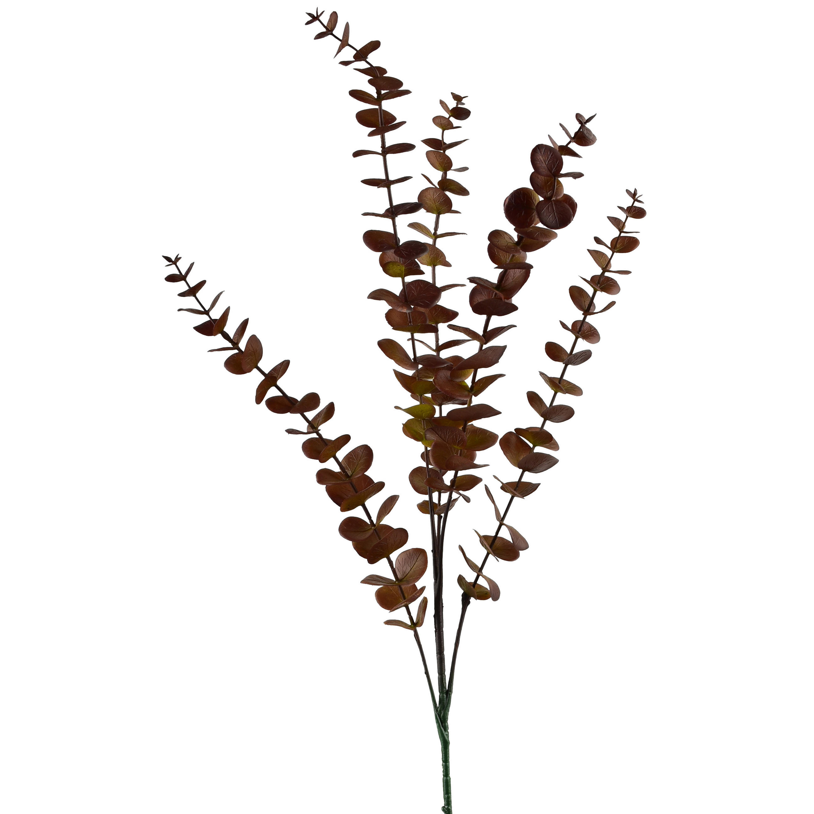 UMELÁ VETVIČKA Eukalyptus 80 cm - zelená, plast (80cm) - Mondex