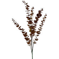 UMĚLÁ VĚTEV Eukalyptus, zelená, 80 cm - zelená barva, plast (80cm) - Mondex