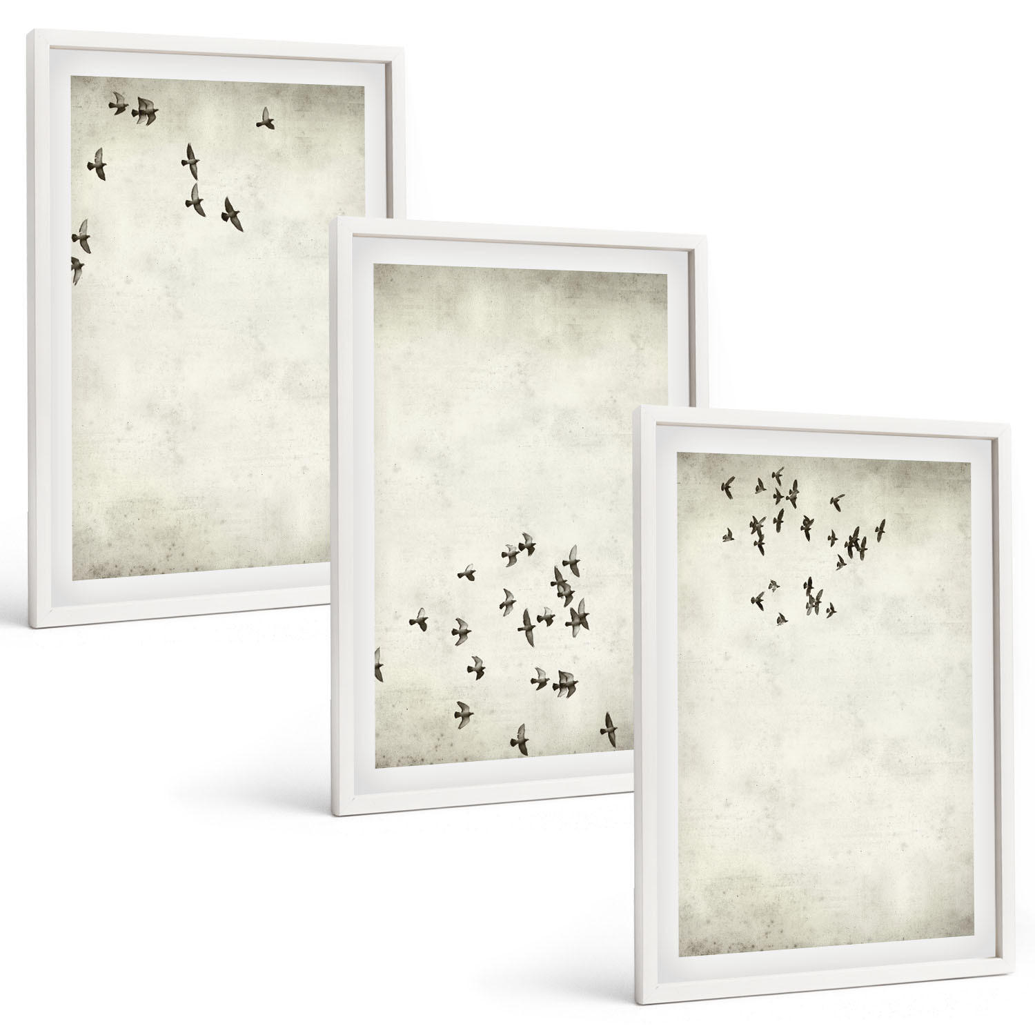 BILDER SET 3er Set - 40x60 cm Weißer Rahmen - Minimalistische Vogelmalerei - Weiß, Kunststoff (40/60cm) - TULUP