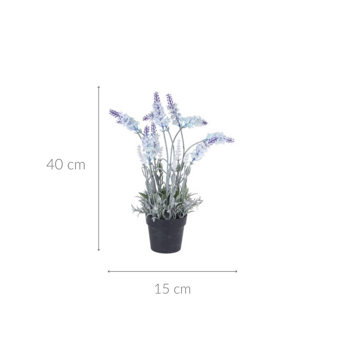 LAVENDEL im Topf 15/15/40 cm - Multicolor, Kunststoff (40cm) - Home Styling Collection
