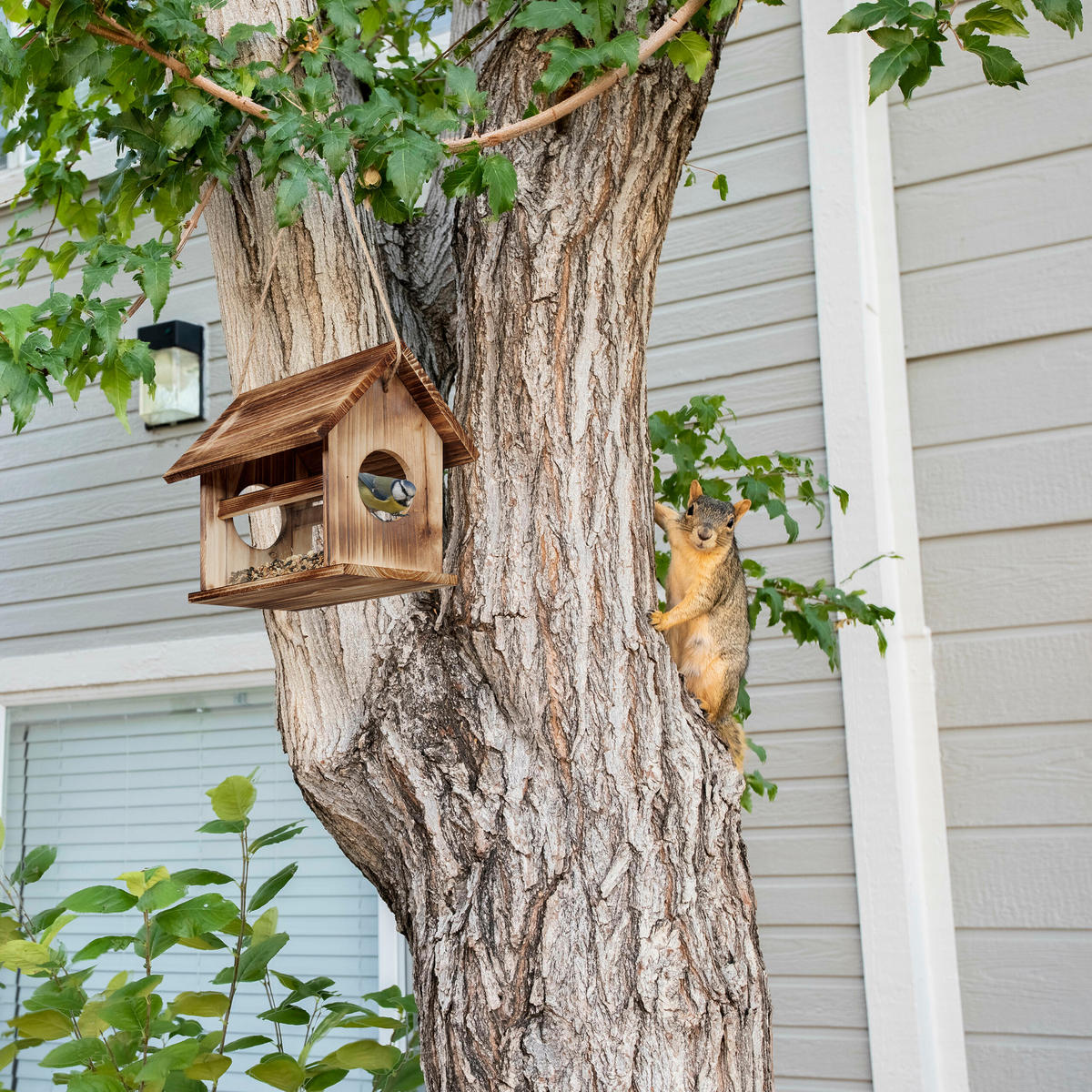 VOGELFUTTERHAUS - Braun, Holz/Kunststoff (30/24/21cm) - Relaxdays