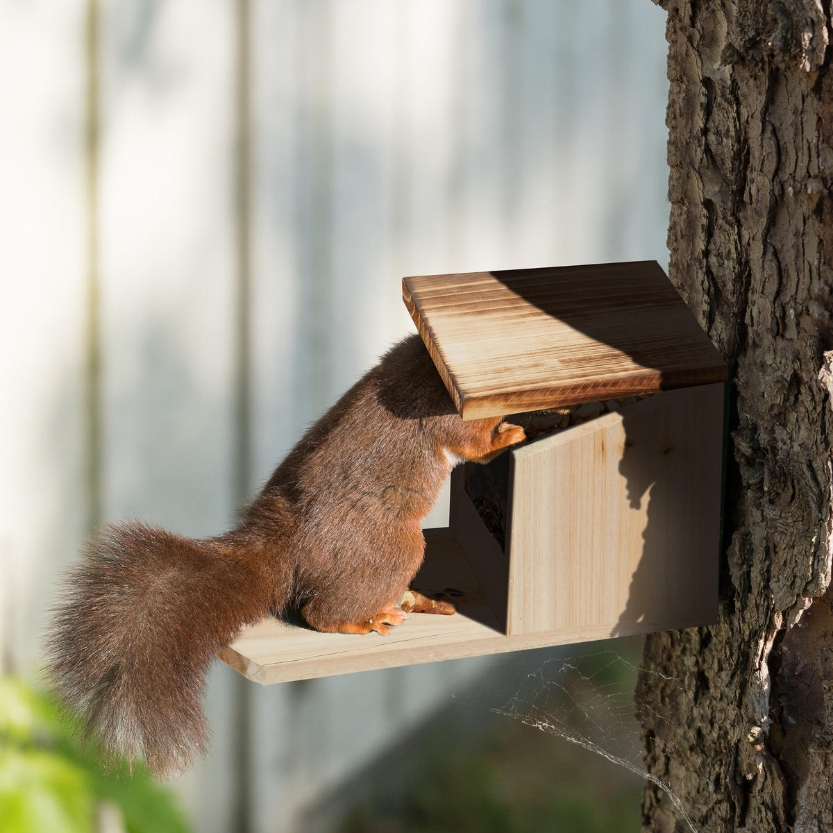 EICHHÖRNCHENFUTTERHAUS - Hellbraun, Holz/Kunststoff (12/17.5/25cm) - Relaxdays