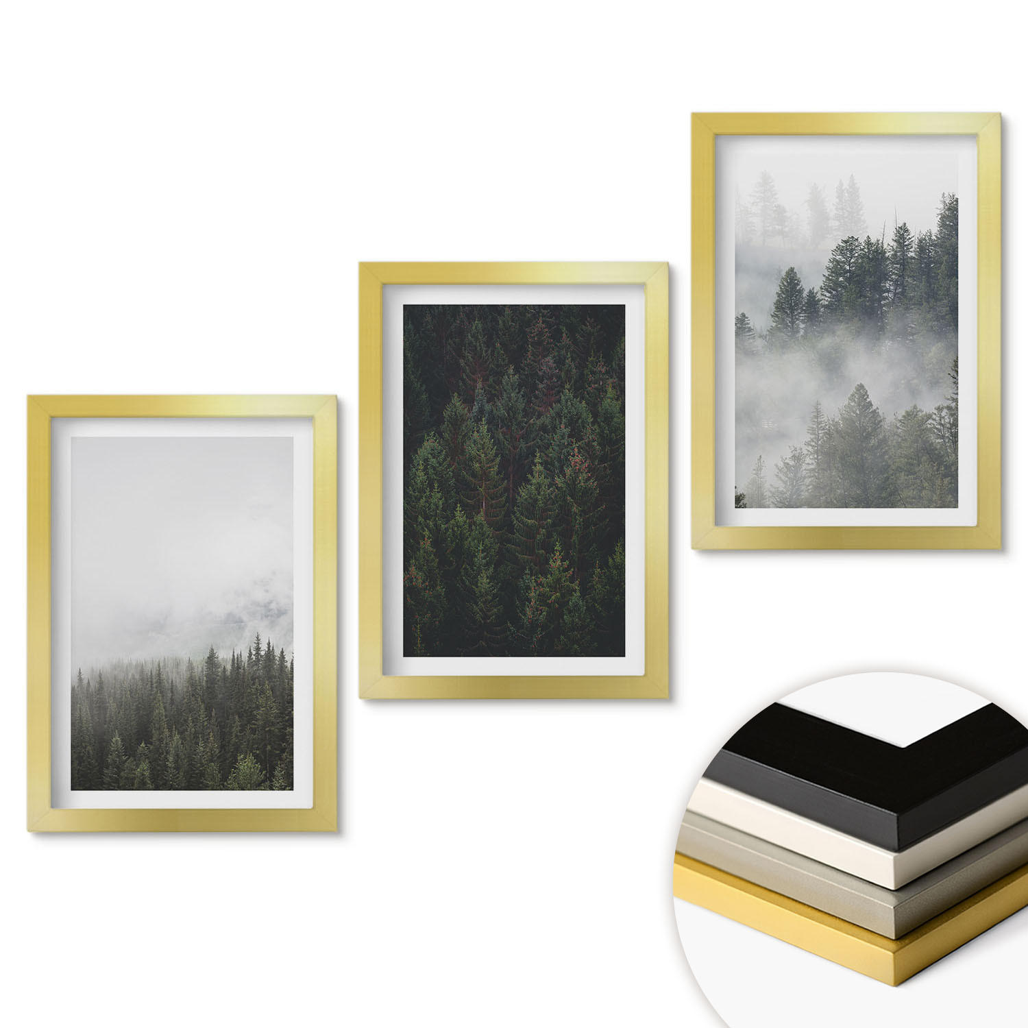 WANDBILDER 3er Set - 20x30 cm Goldrahmen - Grüne Wälder Nebel Natur - Goldfarben, Kunststoff (20/30cm) - ArtPrintCave