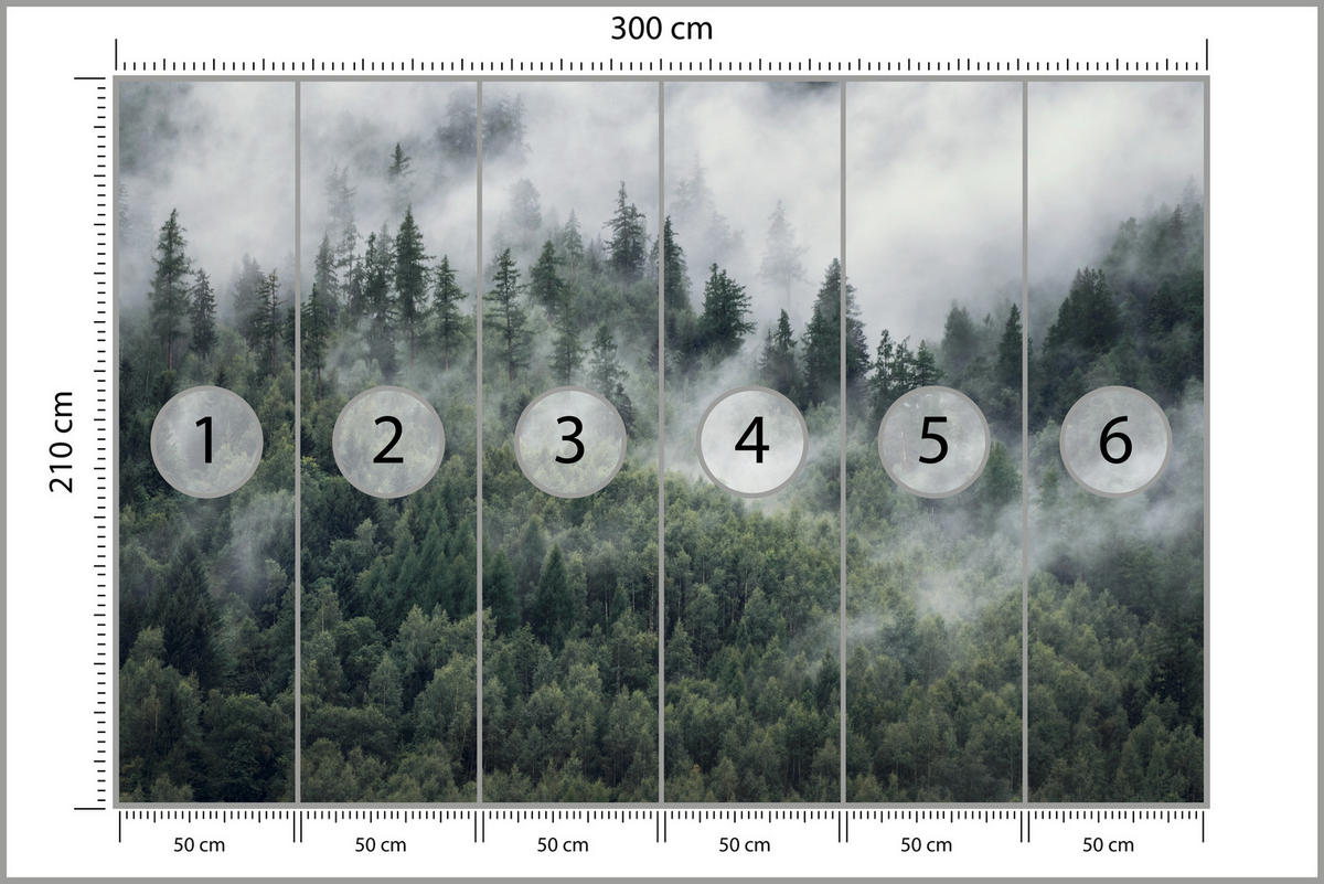 FOTOTAPETE für Schlafzimmer Morgennebel Nadelwald Bäume 300x210 - Weiß/Grau, Papier (300/210cm) - Muralo