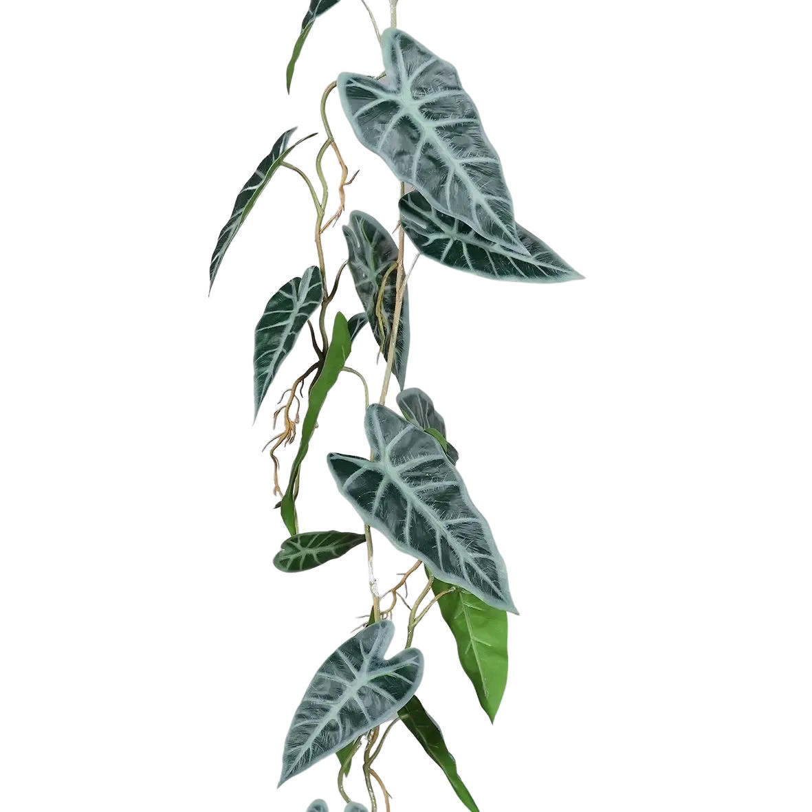 KUNSTPFLANZE Künstliche Alocasia Ranke - Bruno 115 cm - Grün, Kunststoff (115cm) - aplanta