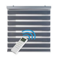 DOPPELROLLO Motorisiertes Silber 160x250 cm - Silberfarben, Kunststoff (160/250cm) - STORESDECO