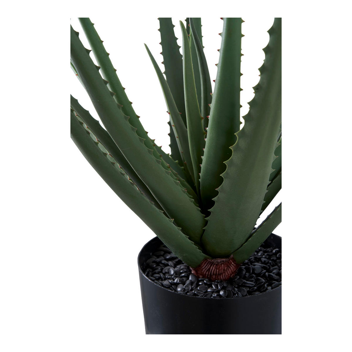 ALOE Vera PE-Kunststoff Grün - Grün, Kunststoff (51cm) - tinkaro