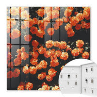 SCHLÜSSELBOX Weiß 30x30 cm – Türöffnung nach rechts - Blühende Fülle - Orange, Metall (30/30/5cm) - TULUP