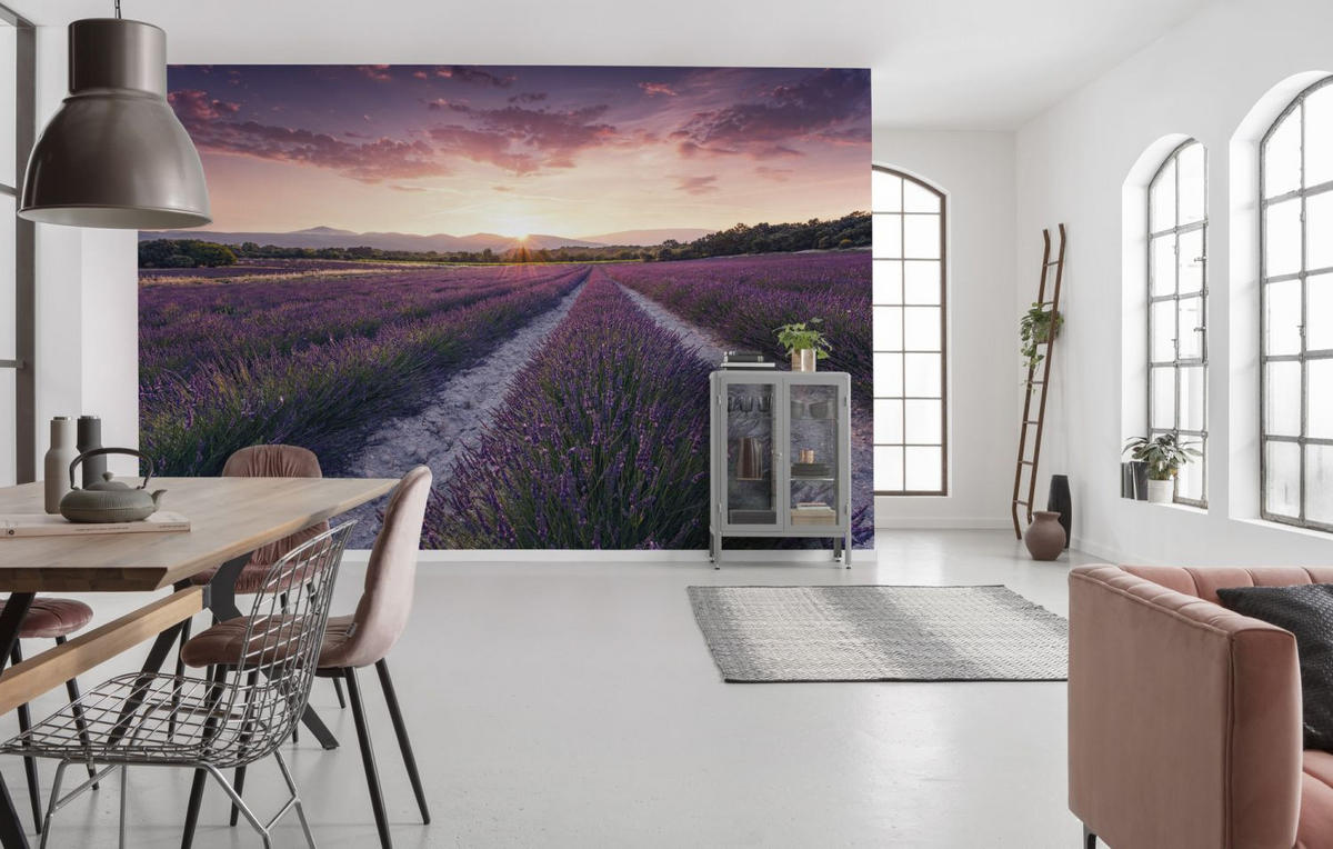 FOTOTAPETE Lavendellandschaft 450 x 280 cm - Lila, Papier (450/280cm) - Sanders & Sanders