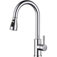 KÜCHENARMATUR mit ausziehbarer Brause 360° drehbar poliertes Chrom - Silberfarben, Metall (5/42.5/25cm)