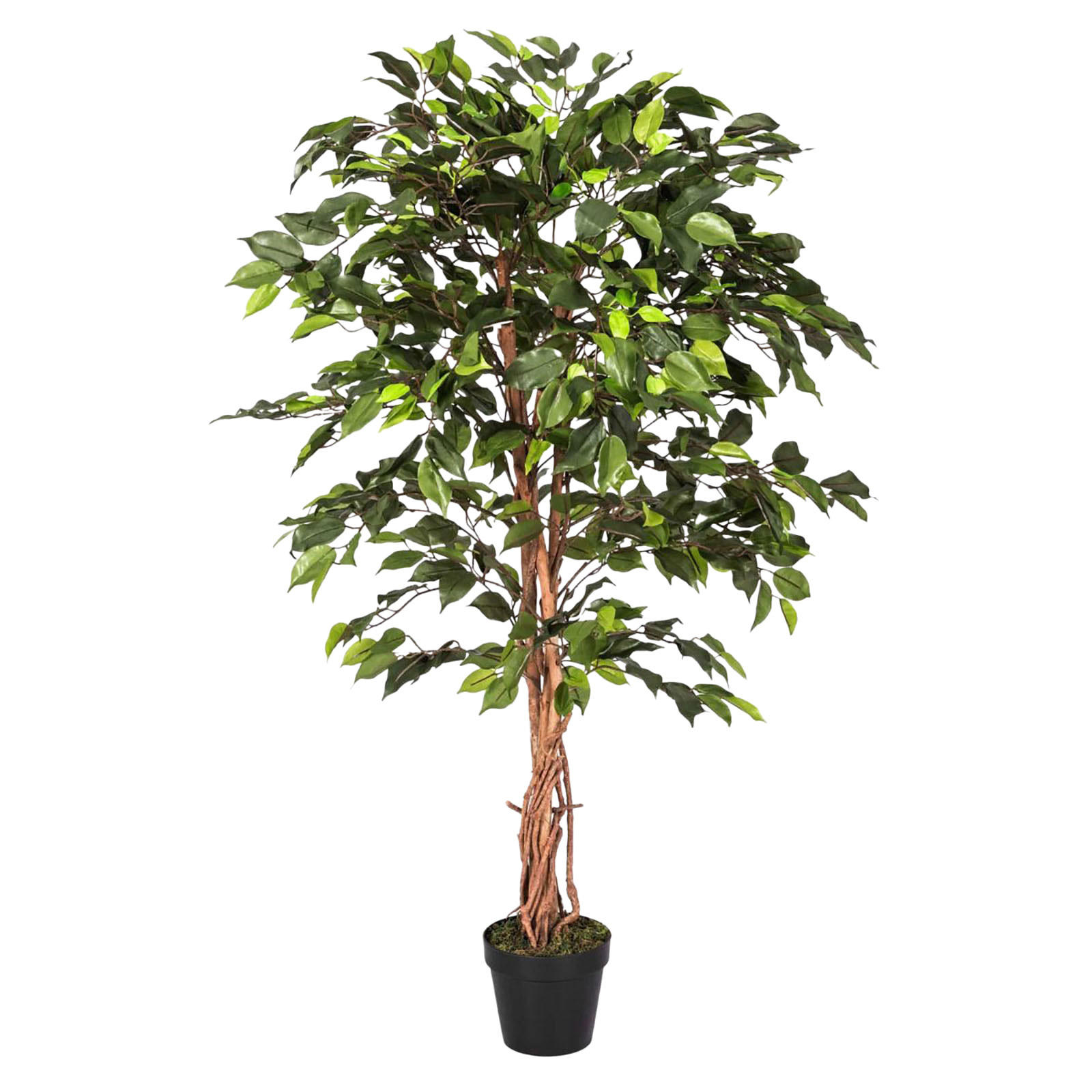 KUNSTBAUM Ficus benjamini, 120 cm - Grün, Kunststoff (120cm) - Homescapes