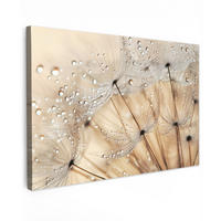 LEINWANDBILD Löwenzahn - Abstrakt - Natur - Beige Groß 140x90 cm - Braun, Textil (140/90cm) - MuchoWow