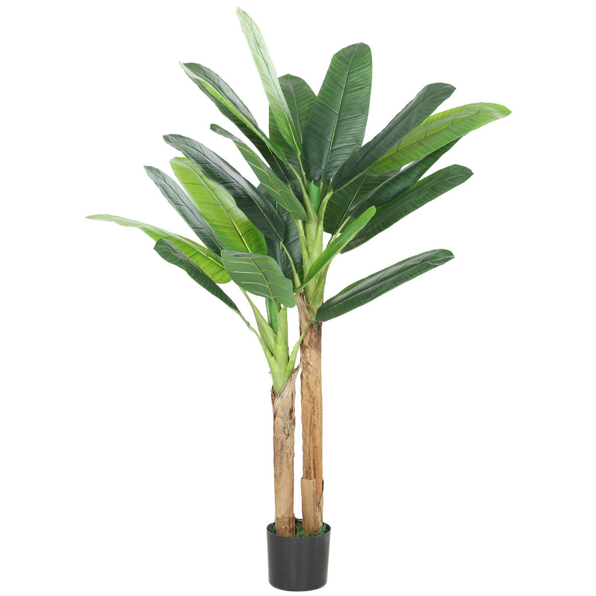 KUNSTPFLANZE, Künstlicher Bananenbaum 150 cm, 2 Stämme, mit Topf, für Zuhause & Büro, Grün - Multicolor, Kunststoff (150cm) - FORIOUS