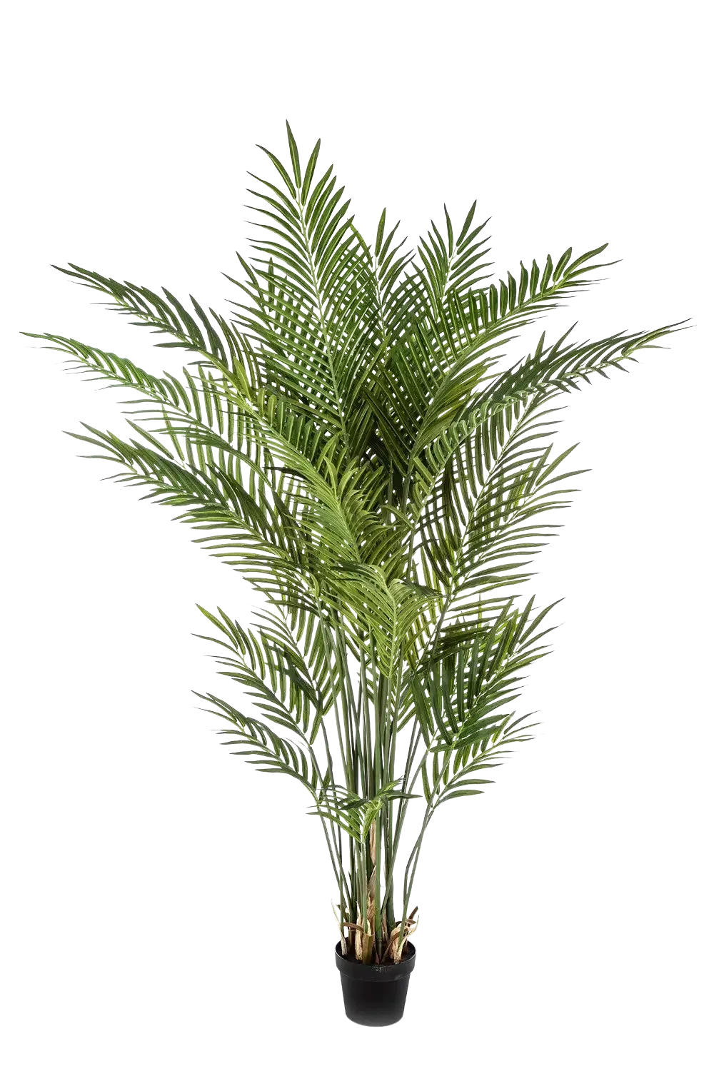 KUNSTBAUM Künstliche Goldfruchtpalme - Eva 200 cm - Grün, Kunststoff (205cm) - aplanta