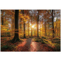 FOTOTAPETE Wald Bäume Braun 200x140 cm - Multicolor, Papier (200/140cm) - Wallarena